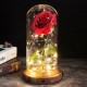 Magav roos klaasis
